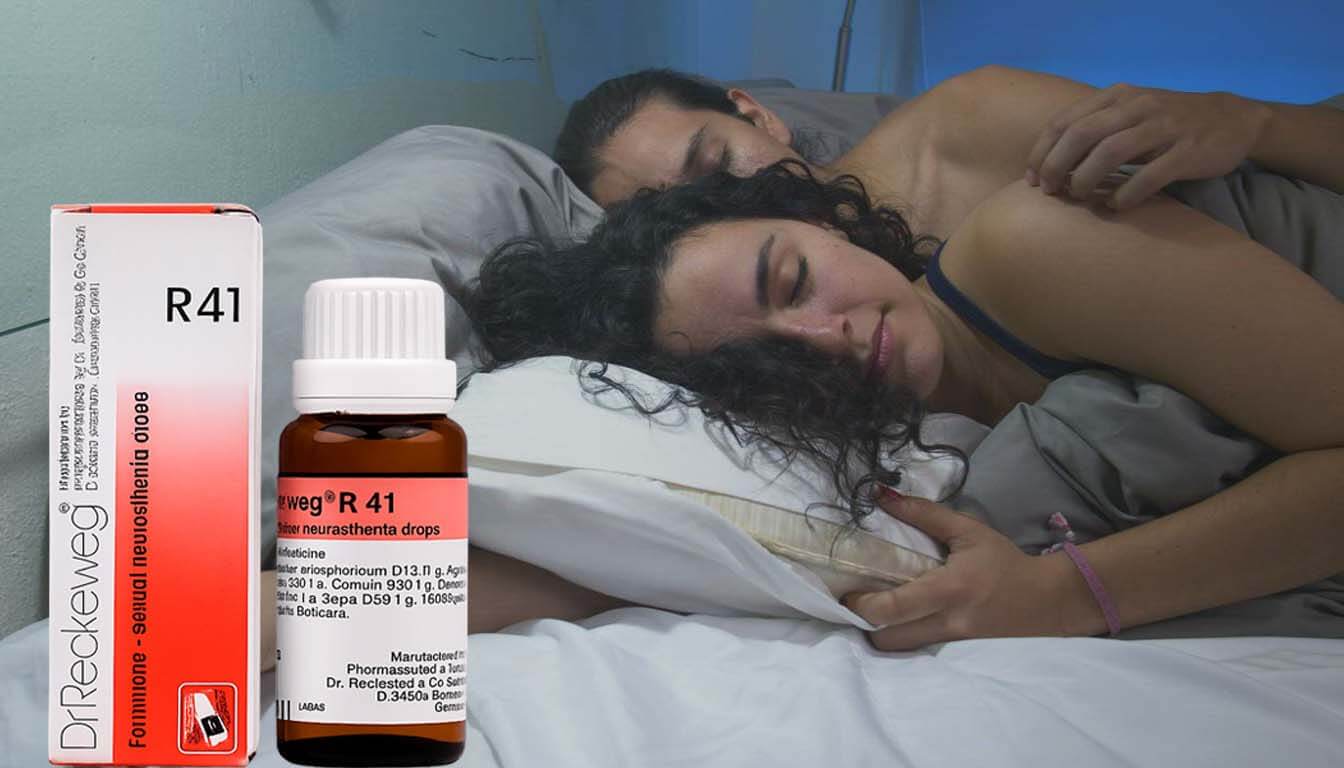 Garmani R41 Full Cors 2 File